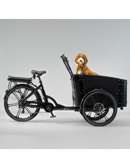 Cargobike DeLight dog