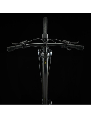 TREK FX+2 STAGGER SATIN