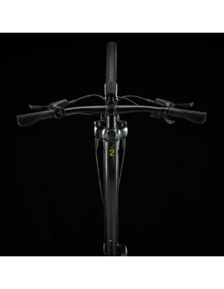 TREK FX+2 STAGGER SATIN