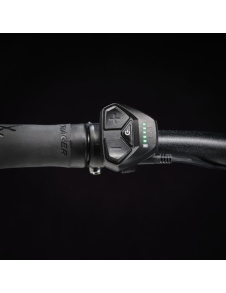 TREK FX+2 STAGGER SATIN