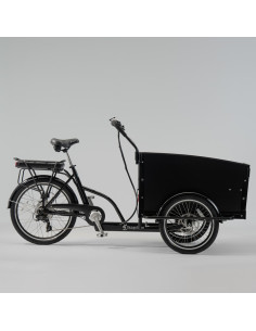 Cargobike classic 2