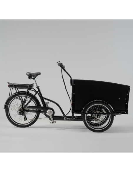 Cargobike classic