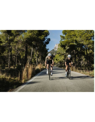 MERIDA REACTO 5000 HALO GREEN/SLATE GREY