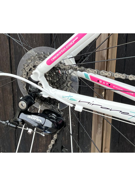 Begagnad Bianchi Nirone Dama C2C  strl. 46
